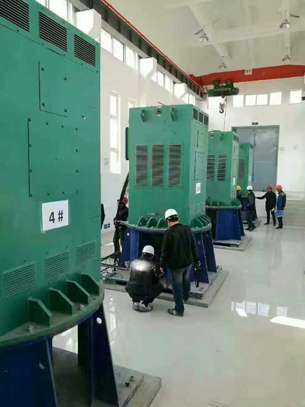 望江某污水处理厂使用我厂的立式高压电机安装现场